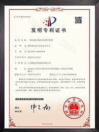 一種電刷安裝的仿形磨合裝置證書(shū)
